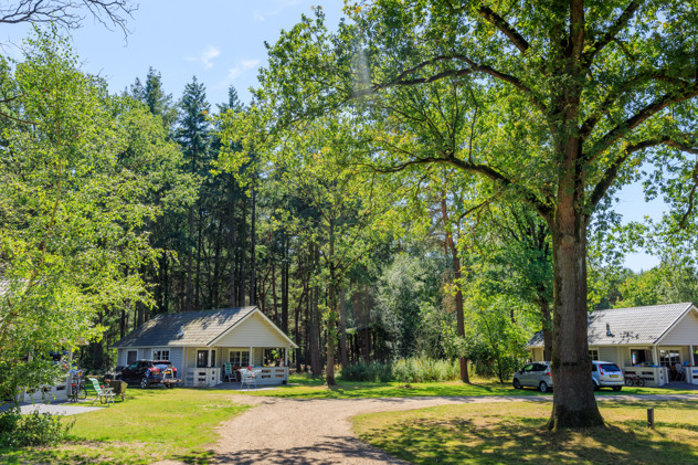 Vakantiepark in Brabant met zwembad midden in de bossen van Chaam Vakantiepark in Brabant met zwembad midden in de bossen van Chaam