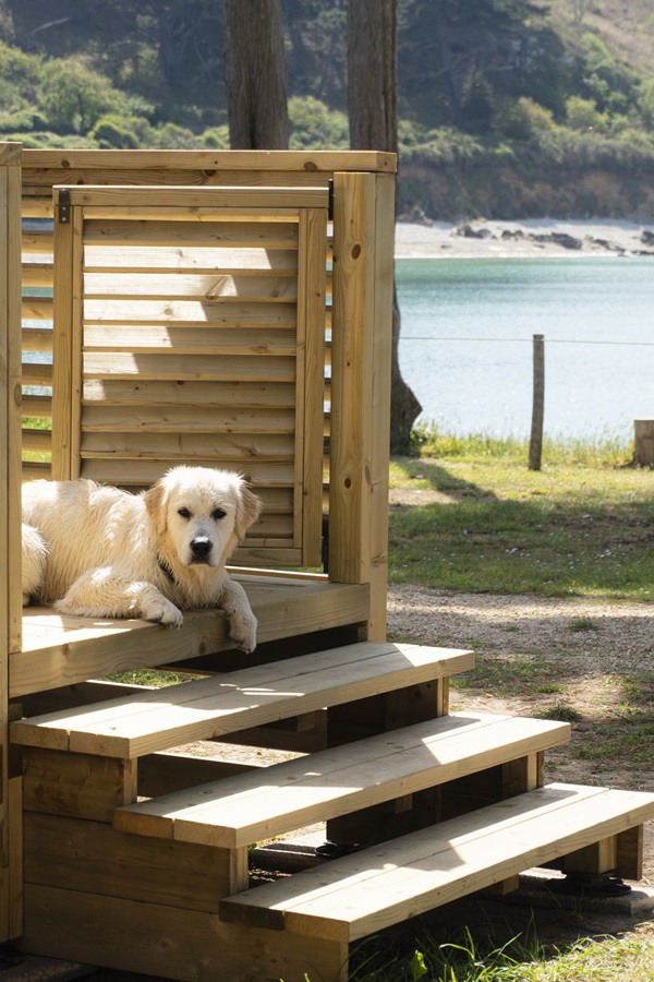 Op vakantie met hond