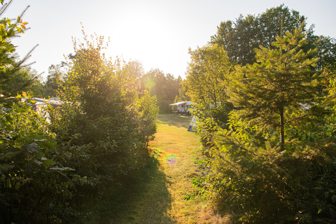 Vakantiepark Friesland met zwembad midden in de natuur Vakantiepark Friesland met zwembad midden in de natuur