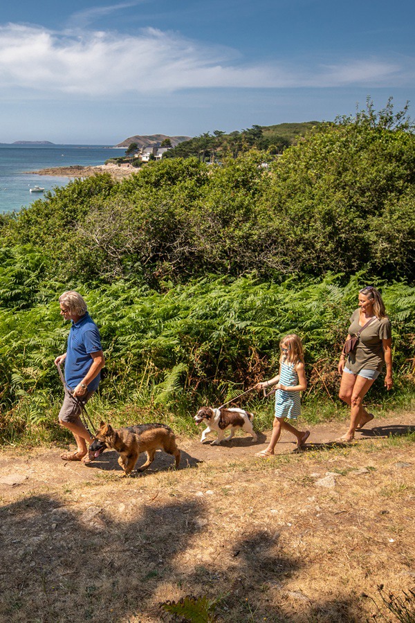 Partir en vacances avec son chien